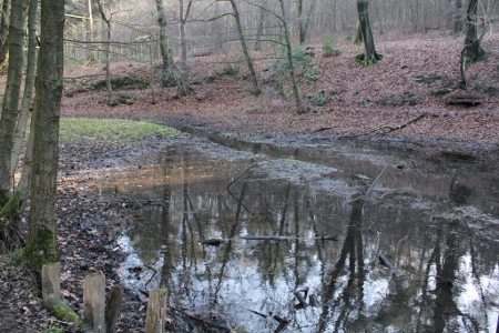 Borbachtal am 2. Februar 2014 (eigenes Foto) Die mit Schwermetallen belasteten Sedimente sollen verbleiben.