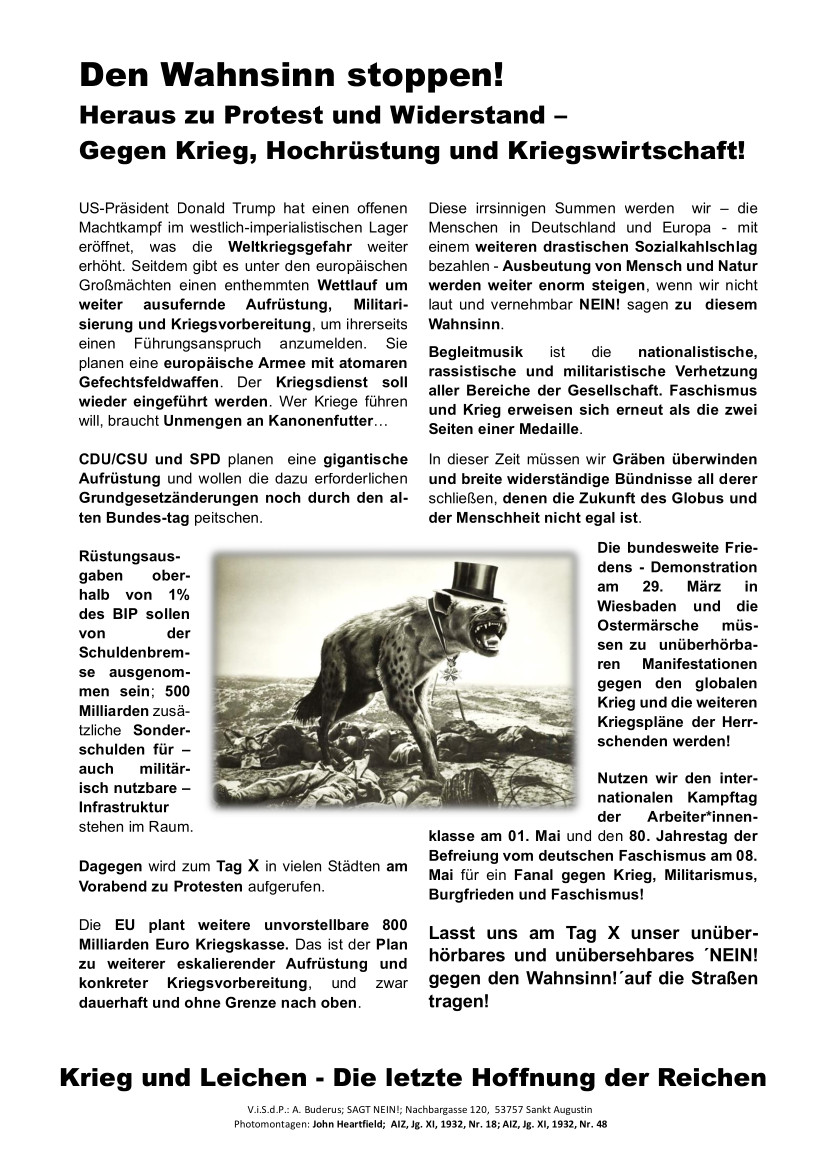 Den Wahnsinn Stoppen Flugblatt final